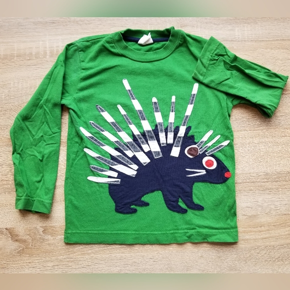 2011 vguc Mini Boden porcupine tee 4-5 years - Picture 7 of 8
